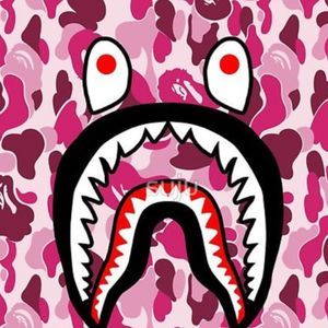 Meet your Posher, Alec